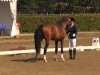 dressage horse Campino T 2 (Westphalian, 2009, from Christ)