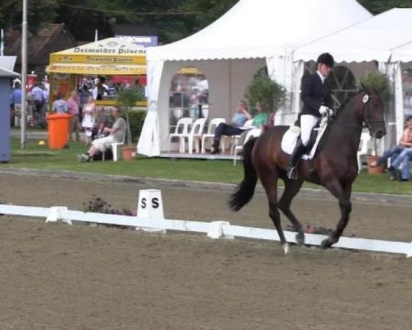 dressage horse S'antana (Westphalian, 2009, from San Amour I)