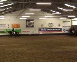 dressage horse Debbie Lee Jones (Rhinelander, 2008, from Dramatic)