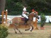 jumper Leonardo 877 (Haflinger, 2003, from Stoanmandl-C)