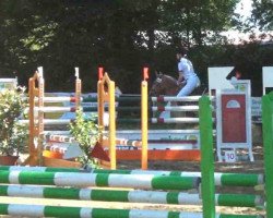 dressage horse Snickers 56 (Pony without race description, 1994)