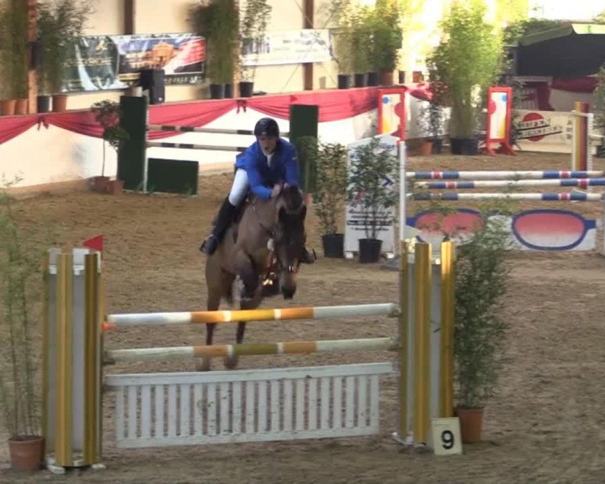 jumper Rafale de L'Oir (Selle Français, 2005, from Kannan)