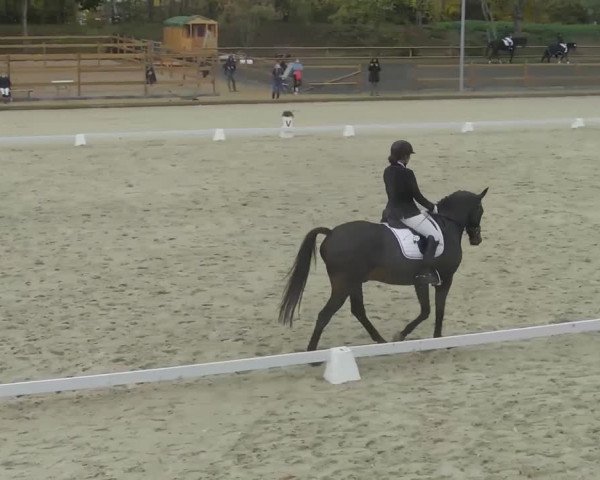 Reitturnier Troisdorf - Haus Rott 2020