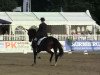 broodmare Amazing Comeback (KWPN (Royal Dutch Sporthorse), 2005, from Negro)