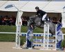 jumper Polarlicht CH (Swiss Warmblood, 2017, from Cristallo I)