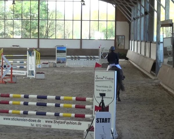 Reitturnier Langenfeld - Gut Langfort 2020