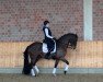 dressage horse Baccoyaswald (KWPN (Royal Dutch Sporthorse), 2006, from United)