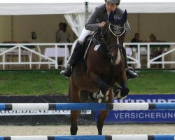 jumper For Grace and Fidelity (Oldenburg show jumper, 2003, from Forsyth)