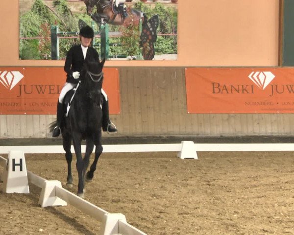 Reitturnier Gut Winkelacker/Obb. 2020
