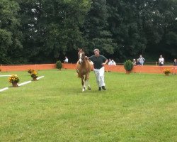 broodmare Don't Worry's Lady (German Riding Pony, 2010, from FS Don't Worry)