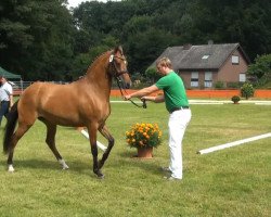 broodmare FS Deep Ocean (Rhinelander, 2010, from FS Don't Worry)