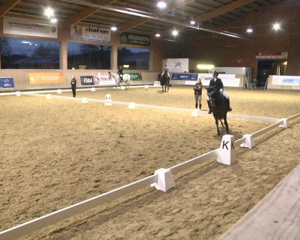 Reitturnier Gut Winkelacker/Obb. 2020