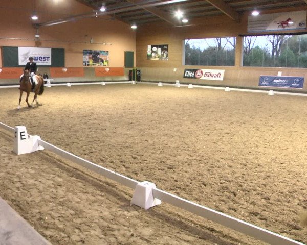 Reitturnier Gut Winkelacker/Obb. 2020