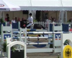 jumper Allstar 5 (KWPN (Royal Dutch Sporthorse), 2005, from No Limit)