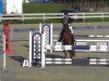 jumper Pacyfic (Polish Warmblood, 2003, from Scott xx)