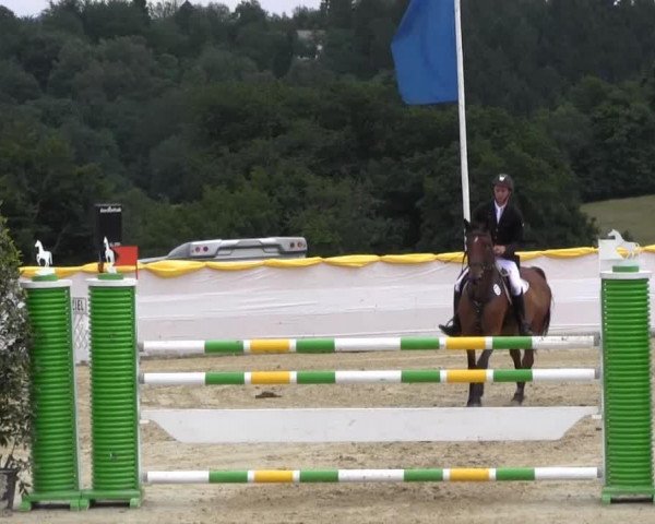 Pferd Landliebe 50 (Holsteiner, 2007, von Locato)