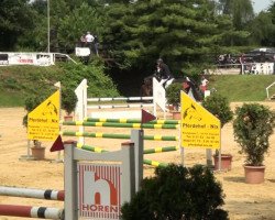 dressage horse Betsy 8 (Westphalian, 2007, from Balou du Rouet)