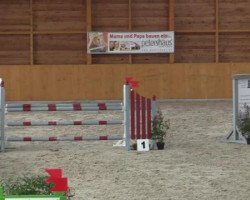 jumper Baltimore 69 (Oldenburg show jumper, 2007, from Balou du Rouet)