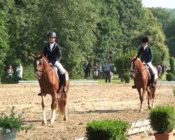 Springpferd Dea Mia (Deutsches Reitpony, 2010, von Deviano)