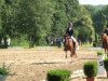 dressage horse Top Carinio (German Riding Pony, 2010, from Top Champy)