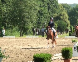 dressage horse Top Carinio (German Riding Pony, 2010, from Top Champy)