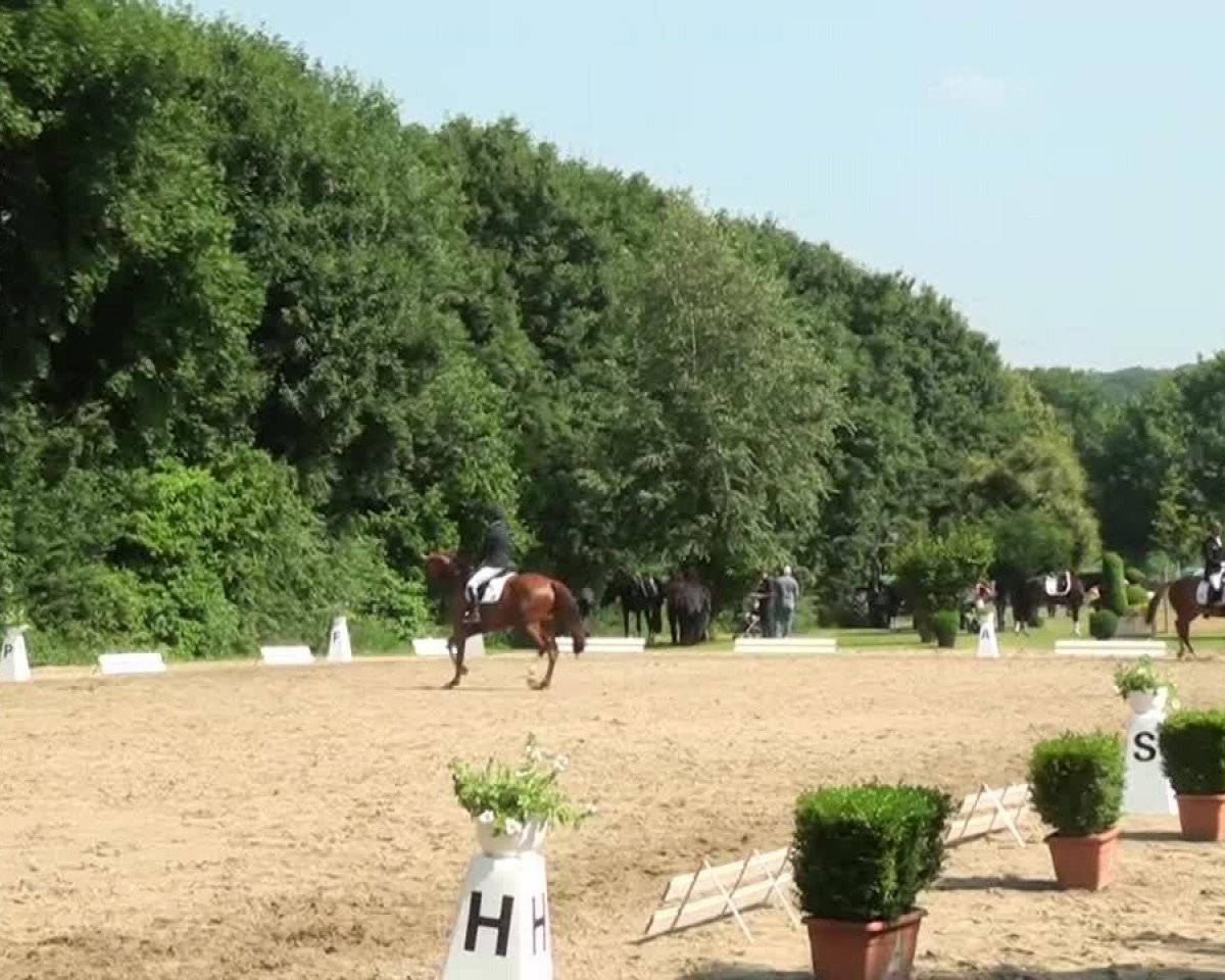 dressage horse Filia S (Rhinelander, 2009, from Fürst Grandios)
