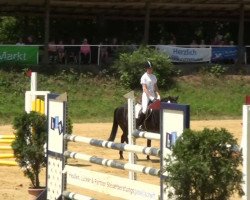 dressage horse Xsonja (Dutch Pony, 2007)