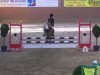 jumper Diamond Boy 12 (German Riding Pony, 2007, from Donauwind)