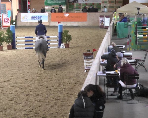 Reitturnier Gut Winkelacker/Obb. 2020