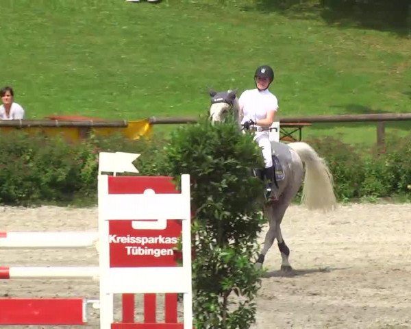 jumper Top Secret CH (Swiss Warmblood, 2004)