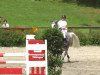 jumper Top Secret CH (Swiss Warmblood, 2004)