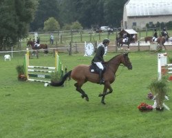 broodmare Lorena 135 (Oldenburg show jumper, 2008, from Ludwig von Bayern 168 FIN)