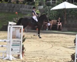 dressage horse Rosa Negra (Zweibrücken, 2009, from Rubinero 2)