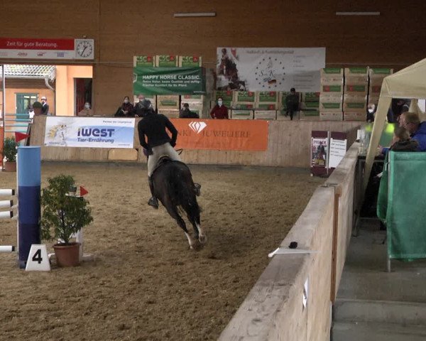 Reitturnier Gut Winkelacker/Obb. 2020
