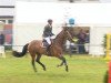 broodmare Chacanua (Oldenburg show jumper, 2007, from Chacco-Blue)