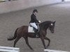 dressage horse Sheikha B (Hanoverian, 2009, from Soliman)