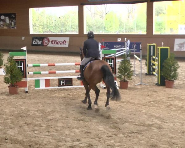 Reitturnier Gut Winkelacker/Obb. 2020