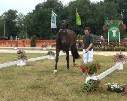 dressage horse Fürstin 76 (Rhinelander, 2010, from Fürst Romancier)