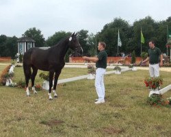 broodmare Chivelle W (Rhinelander, 2010, from Chirivell)