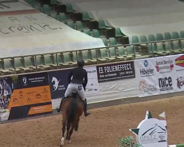 Reitturnier Kreuth/Opf. 2020