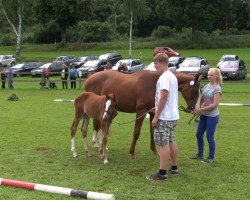 Dressurpferd Rosalee H (Westfale, 2013, von Rational 2)