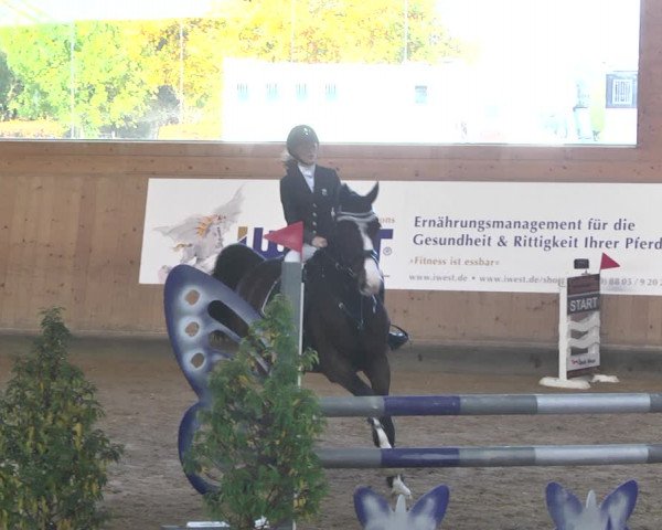 Reitturnier Gut Winkelacker/Obb. 2020