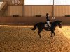 dressage horse Mazur 4 (Polish Warmblood, 1999)