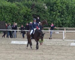 dressage horse Miss Miola de Lully CH (+) (Swiss Warmblood, 2007, from Mr.G)