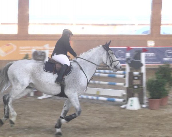 Reitturnier Gut Winkelacker/Obb. 2020
