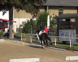 stallion Don Nobilis (Hanoverian, 2010, from De Niro)