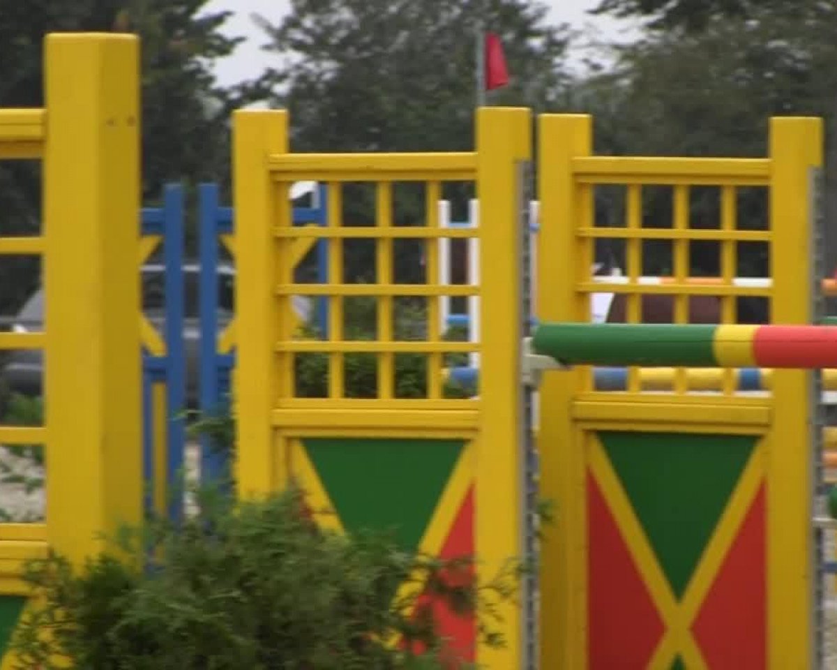 Springpferd Finnley (Westfale, 2009, von Fürst Piccolo)