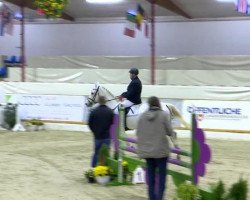 jumper Charmeur 423 (Oldenburg show jumper, 2006, from Celano)