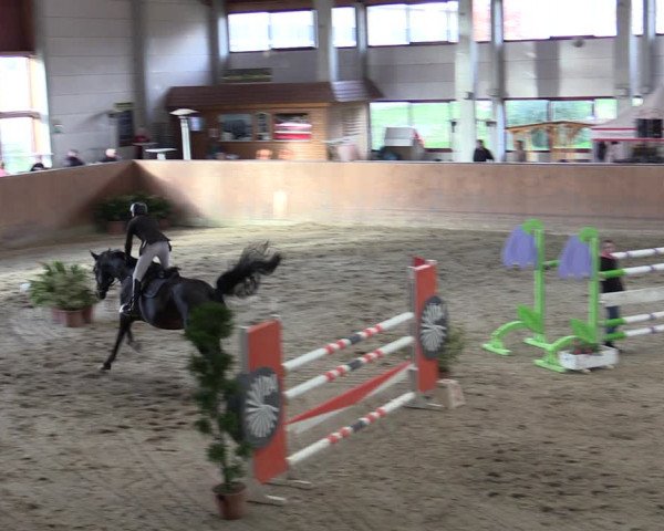 Reitturnier Prussendorf 2020
