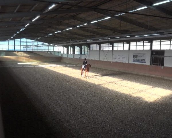 Reitturnier Leichlingen 2020